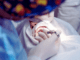 Orl surg - Diamond Dental Arts, Punta Gorda FL