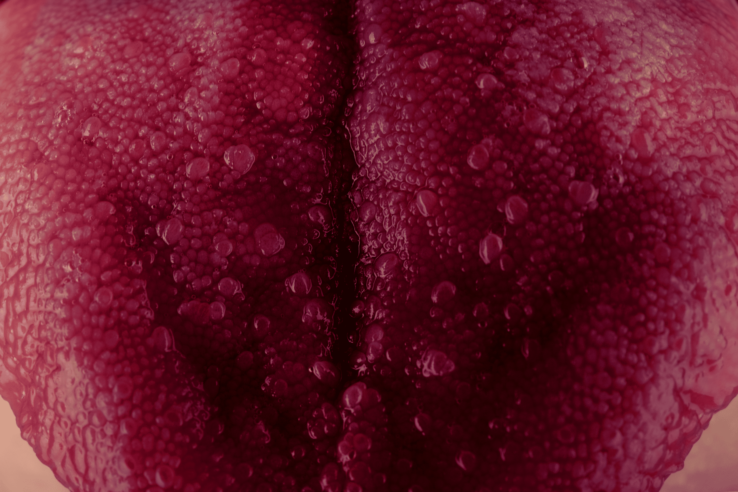 Oral tissue screening and oral cancer prevention graphic