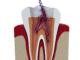 Dental care and services at Diamond Dental Arts in Punta Gorda, FL